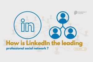 How is LinkedIn the leading professional social network?